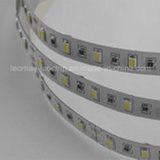 SMD5630 LED Strip Light with Super Brightness