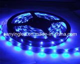 LED Strip Light (SYT-DD-5050B-60)