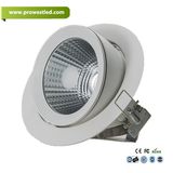 New COB 20W Professional Lighting LED Down Light