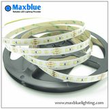 DC24V 224LED/M 3014 CCT Adjustable LED Strip Light