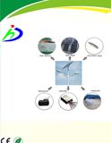 LED Solar Street Light for Government Project