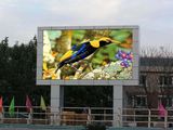 LED Advertising Display