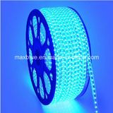 110V 220V 60LEDs/M 5050 SMD LED Strip Light