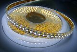 3528 SMD 120LEDs/M Flexible LED Strip Light (JR-F3528-120)