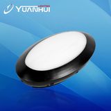 IP66 Plastic Black House LED Ceiling Light