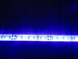 LED 335 Emitting Strip Light (XL-335-White)