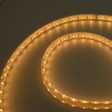 SMD 3014 Double Color Design LED Strip Light