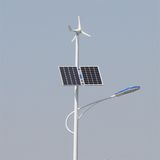 30W Energy-Saving Wind Hybrid Solar Street LED Light (S-C20158130)