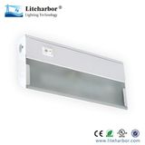 LED Recessed Light