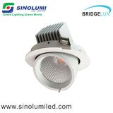 30W COB Adustable LED Down Light