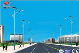 Wbr016 30W Single Lamp Solar LED Street Light