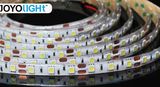 New! ! ! Flexible SMD 5050 LED Strip Light High Power Reasonable Price