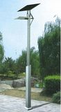 Solar Garden Light (OEM is acceptable) -9