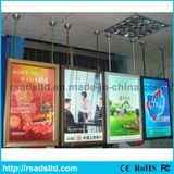 Illuminated Aluimnum Snap LED Light Box