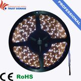 Flexible Decoration 5050 LED Strip Light