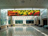 P6 Indoor Full-Color LED Display/Indoor Full-Color LED Display