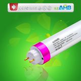 TUV/ETL/CE/RoHS Approval Top Manufacturer 600mm T8 LED Tube