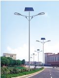 Hot Sale Energy-Saving LED Solar Light (SYT-3002)