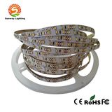 3014SMD Flexible LED Strip Light for Retail/Wholesale