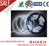 5050 SMD Strip LED Strip Light for RGB Type