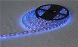 LED Strip 60*SMD5050 Purple Light Strip