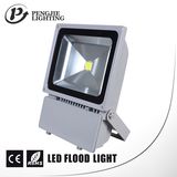 High Power COB LED Spotlight for Outdoor (PJ1080)