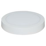 25W LED Ceiling Panel Lights