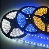 12V 24V SMD5050 SMD3528 RGB Waterproof LED Strip Light with CE RoHS SGS