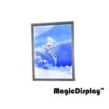 Illuminated Aluminum Frame Display Light Box