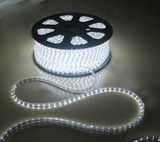 LED Strip Light 220V