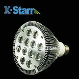 12*1W PAR38 LED Spotlight (KS-LAX-PAR38-12W1)