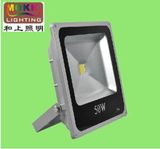 CE RoHS Outdoor Lighting 50W LED Flood Light