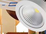 20W Bridgelux COB Chip LED Down Light