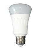 High Luminous LED 5W Bulb Light