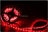 12V 60SMD LED Strip Light with CE