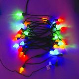 LED Twinkle Lights