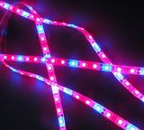 5050 60LED 12V LED Strip Grow Light