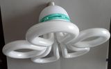 Electronic Energy Saving Light (flower type)