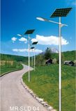 Solar LED Street Light (MR-SLD-04)