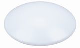 COB 9W 15W 22W 30W LED Ceiling Light