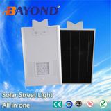 Outdoor Lighting 15W Integrated Solar LED Street Light