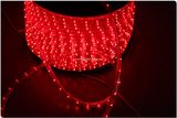 110V Steady 2 Wires LED Rope Light