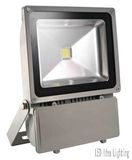 LED Flood Light (L-FL-W-100W)