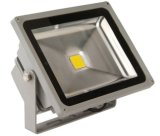 30W LED Wall Washer (DSL004)