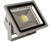 30W LED Wall Washer (DSL004)