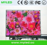 Slim HD Stable Outdoor Waterproof LED Display