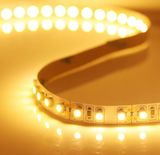 SMD5050 300LEDs Flexible Strip Rope Light