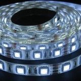 5050 LED Strip Light / White / DC12V / 60p / IP44 (RZ-DC12V-5050-W-30P-01)