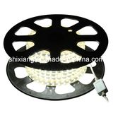 LED Strip Light IP67 5050-60LEDs