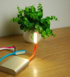 Portable USB Lamp USB LED Light with Logo Printed